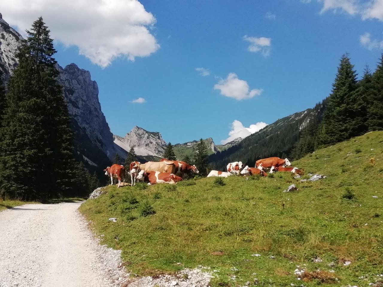 Gaestehaus Alpenblick Affittacamere Berwang